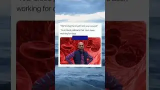Most Popular Meme in Social Media #viralshots #memes #jokes #youtubeshots  #funnyshorts #shorts