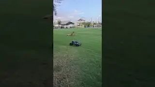 traxxas summit