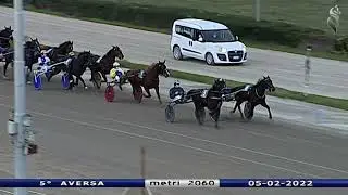 Aversa trotto 5 Febbraio 2022 - 5° Corsa GP Andreani