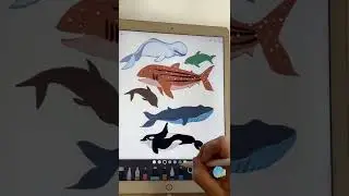 Draw whales LIVE art tutorial Tiktok