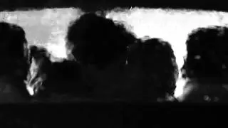 Patch & Nora || You're the only light