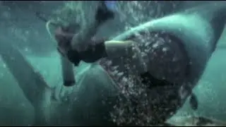 Sharknado Week 2018 Celebration