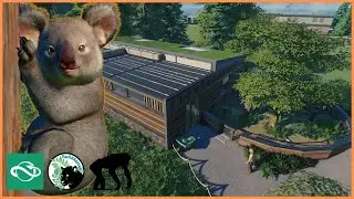 TOP KOALITY Koala House | Isle of Wild | Planet Zoo | #6