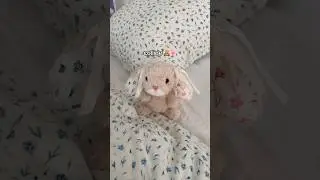 yummy bunny jellycat 🧸🎀