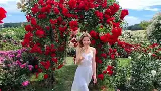 Empire of roses