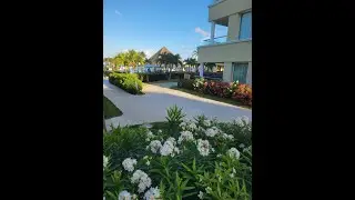 Moon Palace Cancun: The HONEST Truth (Sunrise vs The Grand)