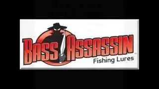 Bass assassin Pro tiny shad