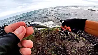 NO MAR ESSA MICRO ISCA SEMPRE SE DESTACA! Pescaria Ultralight