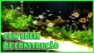 Um dos aquários com peixe neon mais bonitos que já vi!