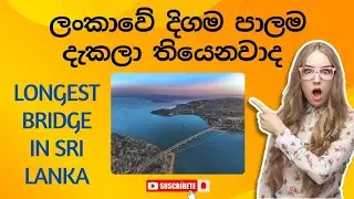 ලංකාවේ දිගම පාලම Kinniya Bridge| Longest Bridge in Sri Lanka #kinniyabridge #trincomalee #viralvideo