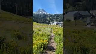 Mt. Hood Meadows: Where Earth Touches Sky #meadows #oregonadventures #natureseekers #theglobehoppers