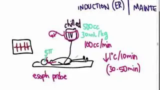 ACLS 11 - Post-Resusc Care