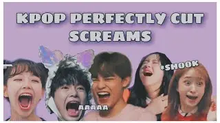 kpop perfectly cut screams