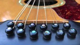 Taylor 855 (1988) 12-string acoustic guitar