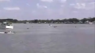 Idiotas Moranus In The Wild