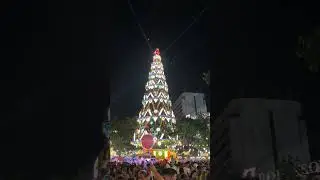 Christmas Lighting 🎄 Fuente 🌟 #christmastree #lighting #christmas #seasonofgiving #light #firework