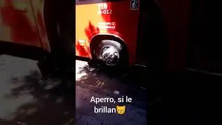 El U-12 De La T-18 (R-622) 😎😼👌❤️
