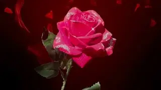 Спектакль 