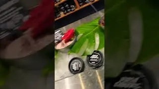 Fresh Lush face masks! #trending #shorts #explore #tiktok #reels
