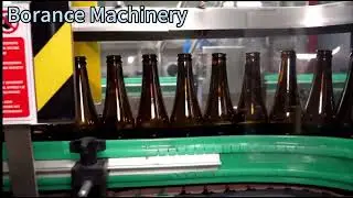 Automatic Beer Complete Glass Bottle Filling Line