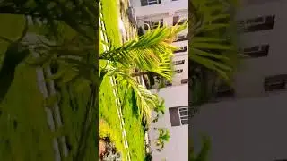 Agricultural College siricilla PJTSAU..My college #agriculture #@ramyapadya  #youtubevideo