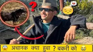 बकरी को क्या हो गया अचानक 🥹!! पहाडी भेड़ पालक जीवन 🐏 ?  pahadi lifestyle 🏔️ pahadi culture #vlog 😍 