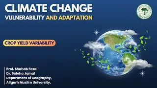 Crop Yield Variability