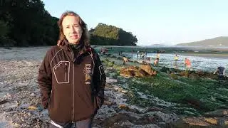 Econoia 5: Limpeza de algas verdes nos bancos marisqueiros de Testal e Broña. 5 de setembro de 2025