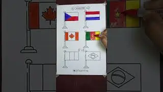 Can You Identify These 6 Flags? 🤔🏳️ #flagart #countryflag