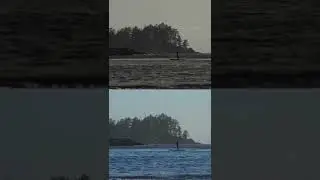 Black & White vs Colour #27 - Lone Paddle-board