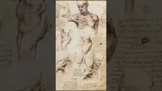 Leonardo di ser Piero da Vinci, Rönesans döneminde yaşamış İtalyan ressam #music #ringtone