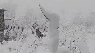 Snowfall | Snowfall in Kashmir | fresh Snowfall in kashmir | kashmir main barabari | fresh snowfall 