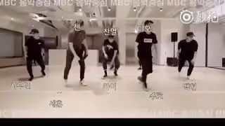 EXO POWER DANCE PRACTICE [LEAKED]