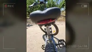 PASELEC GS9 Electric Bike Review: Is It Worth Your Money?