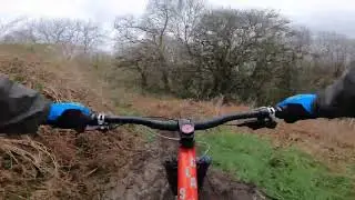 The Dam, Cork City. fun easy trails just outside the city.