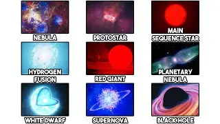 The Life Cycle of a Star Explained