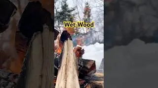 This Is What Wet Wood Sounds Like 🔥