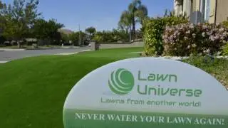 Another amazing Lawn Universe story