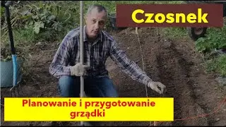 Czosnek - przygotowanie miejsca. Sadzenie - przełom październik - listopad. Teraz jest za wcześnie.