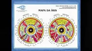 Curso Online de Forma&ccedil;&atilde;o de Iridologistas- Aulas ao vivo .