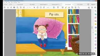 Jolly phonics readers-orange level-Snap