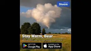 Stay warm bear **song I wrote**