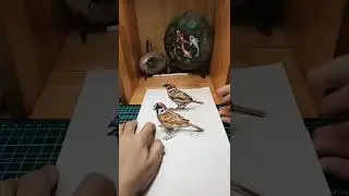 ❤️3d Drawing Birds | Creative Drawing Ideas&mdash;Catch This Bird❤️#shorts #3dart #3ddrawing
