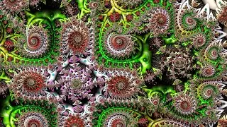 Overlapping memory - Shallow Mandelbrot No.44
