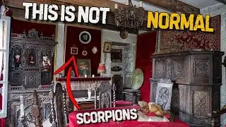 Abandoned With Everything Left Behind &ndash; Inside a Master Woodworker&rsquo;s Home