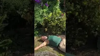 ￼ It&rsquo;s all a bit much sometimes, &hellip;&hellip; #gardenerben #floortime #abitmuch #liedown #takingaliedown