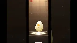 5km Egg hatching #pokemongo
