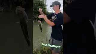 Drain Pipe Bassin&rsquo;!!!