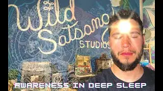 WILD SATSANG - Awareness in Deep Sleep (non duality)