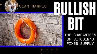 BULLISH BIT: The Unparalleled Guarantees of Bitcoin's Fixed Supply 📈